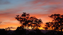 Aussie Sunset - Cairns, Australia