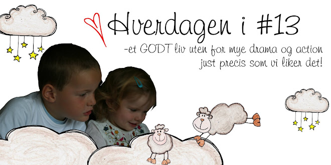 Hverdagen i #13