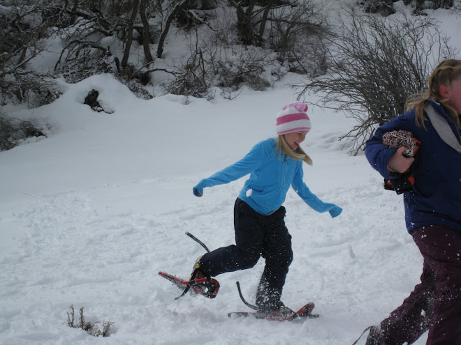 Snow Shoeing