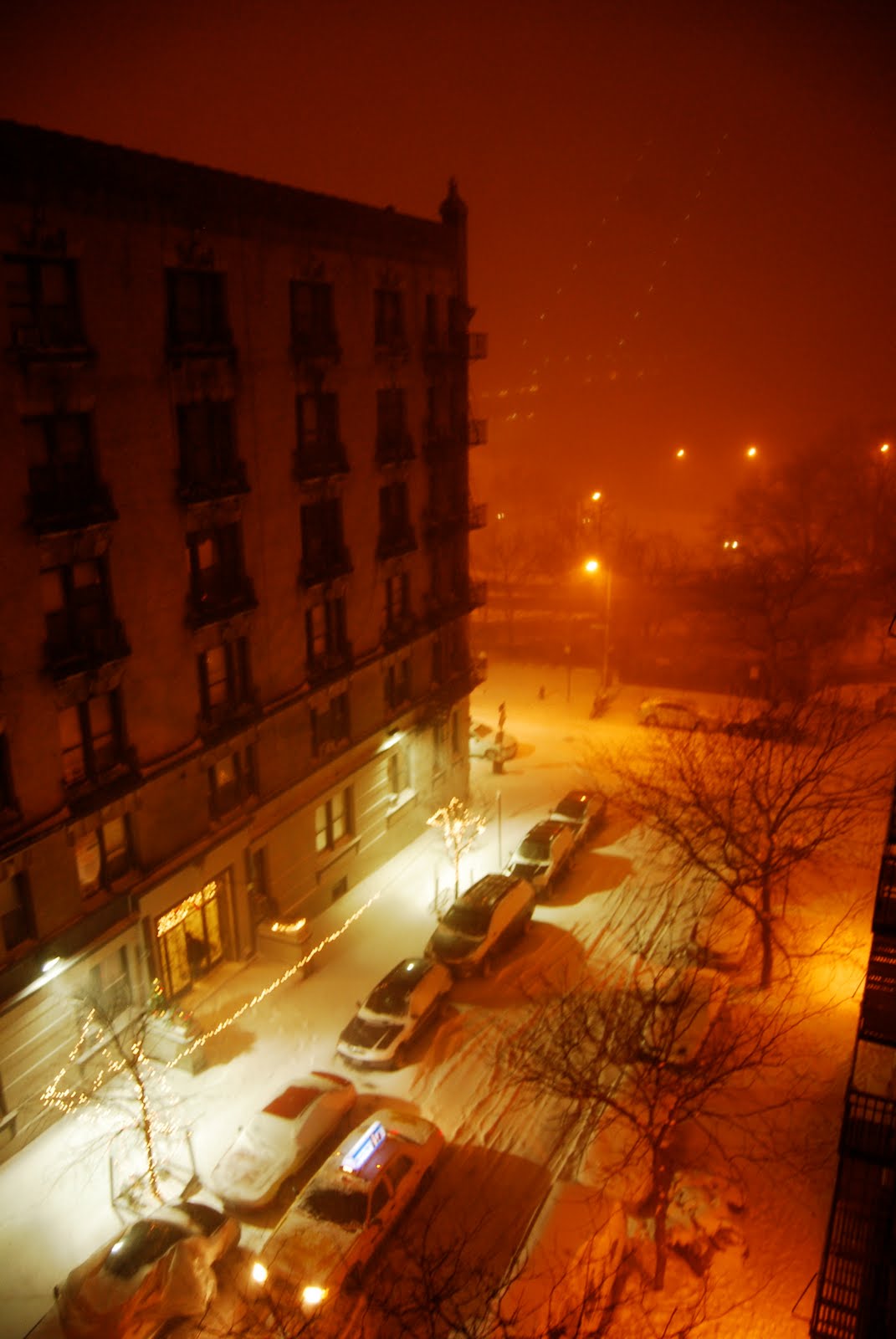 [DSC_0309.JPG]