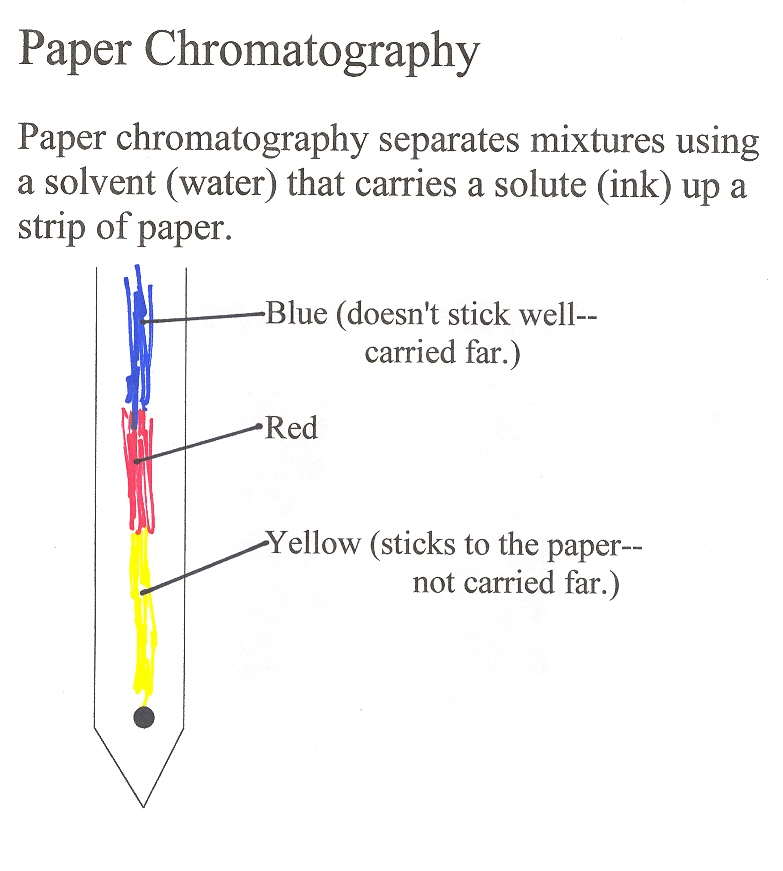 Paper chromatography lab report answers
