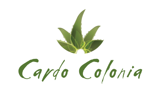 Diseño en cardo
