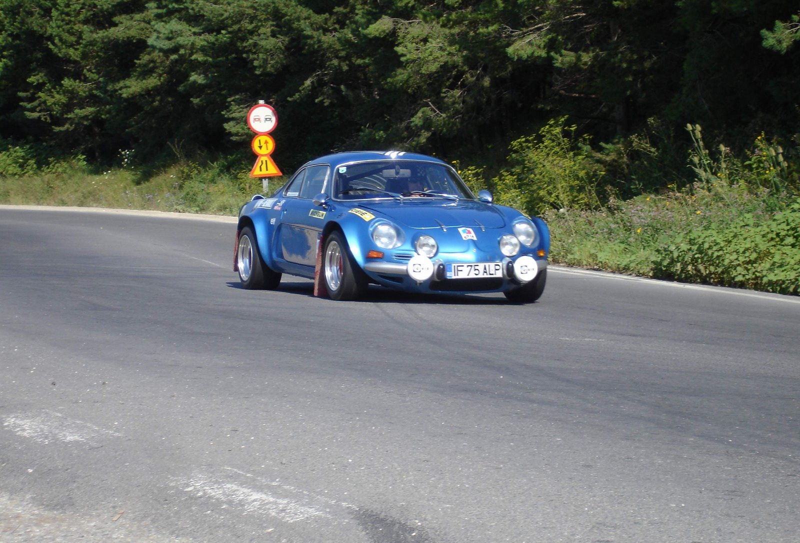 [alpine.JPG]