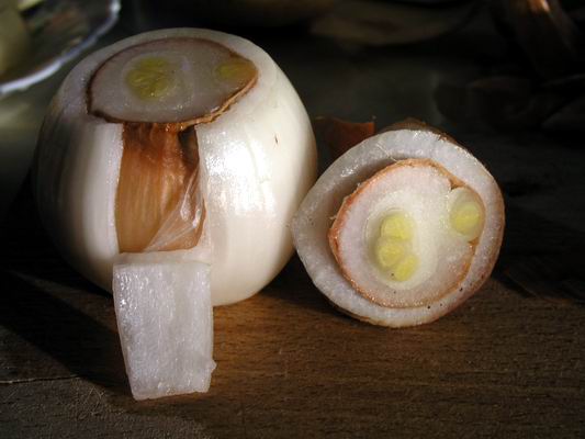 Onion skin