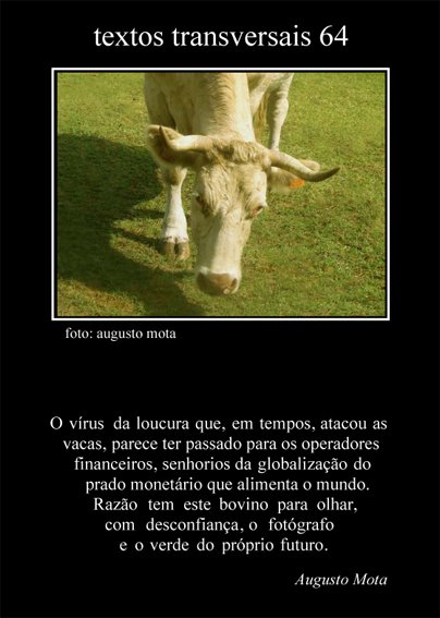 [Textos+transversais+64.jpg]