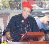 [cardenal.bmp]