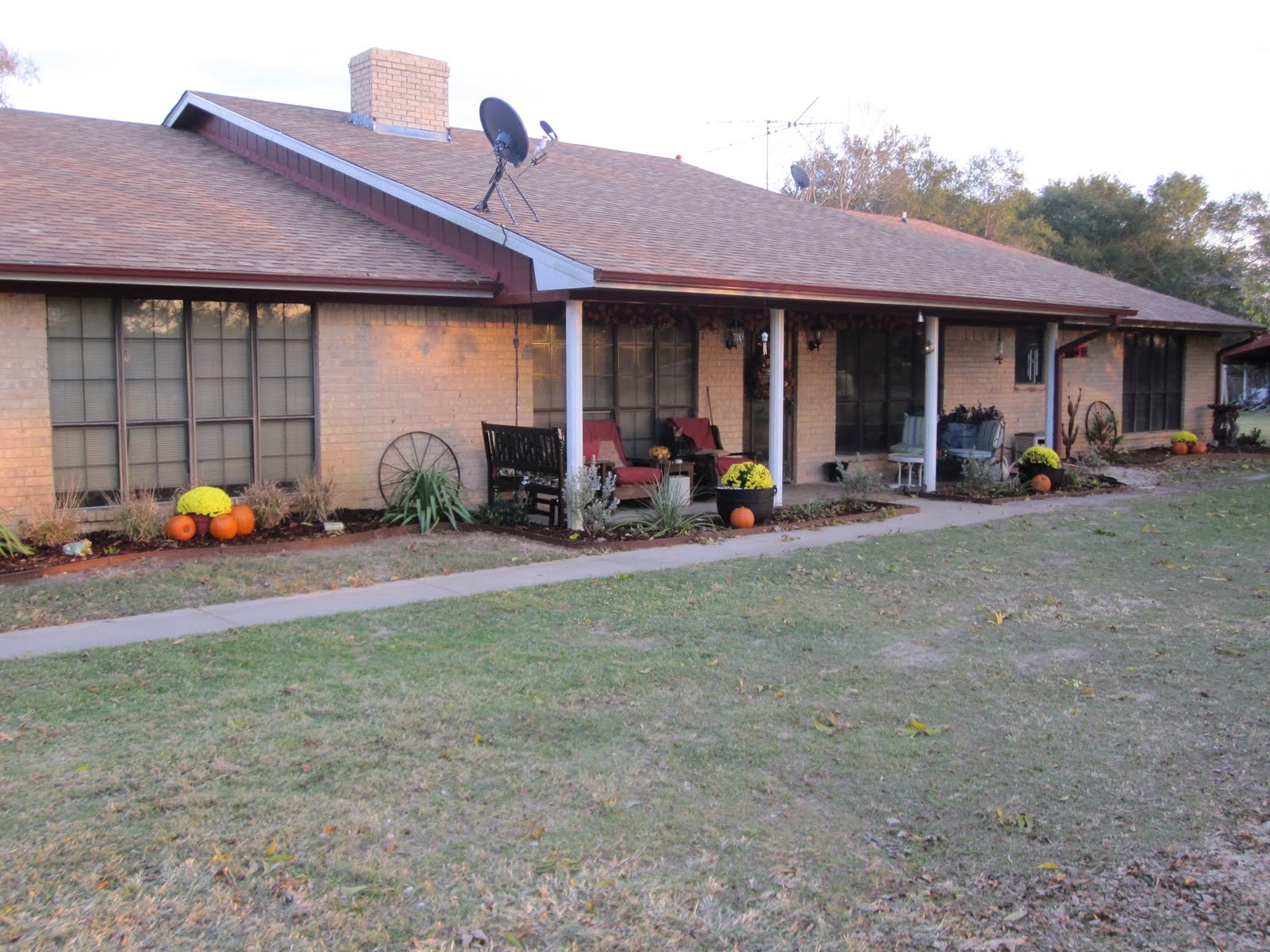 My Year On The Farm: Landscaping- front yard