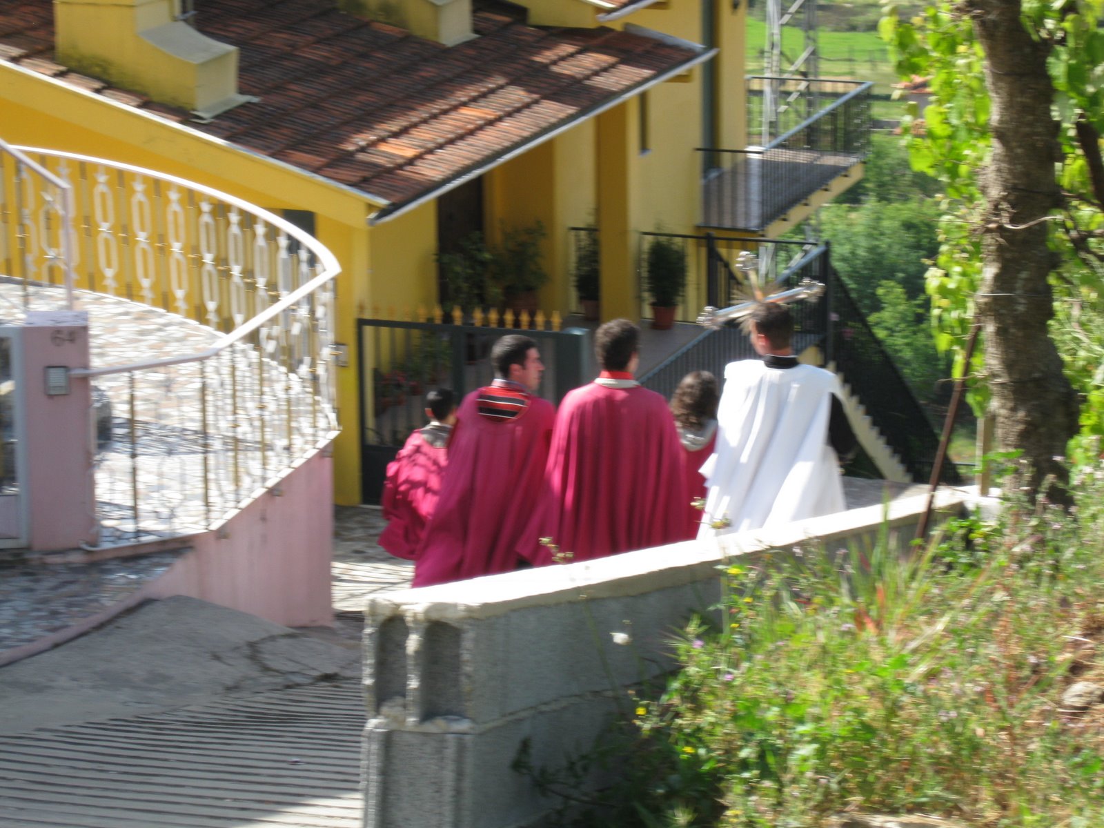[IMG_0117.JPG]
