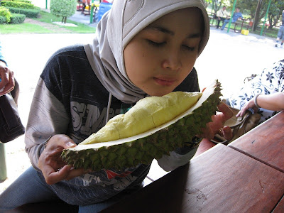 http://2.bp.blogspot.com/_o5LaM4SQ31c/SSqwu2Sy52I/AAAAAAAAAco/9M4_PqOR8dA/s400/makan+duren.JPG