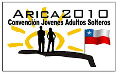 Jas Arica 2010