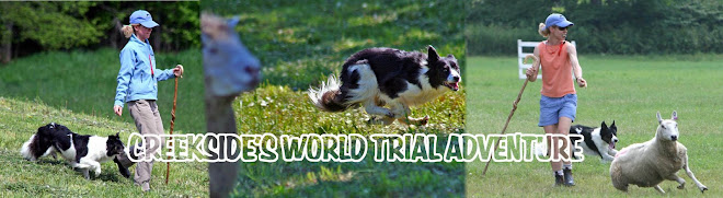 World Trial Adventure