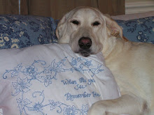 My Lab...Lucy