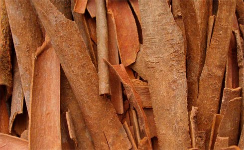 [chaipilgrimage_cinnamon.jpg]