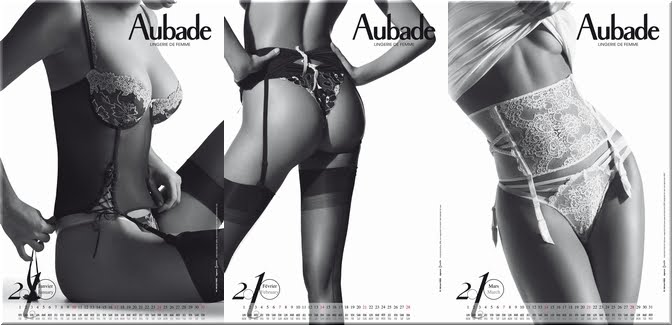 [janvier2010-01-03.jpg]