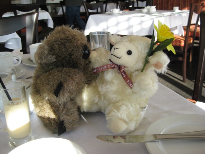 [Wellington+&+Lambchop.jpg]