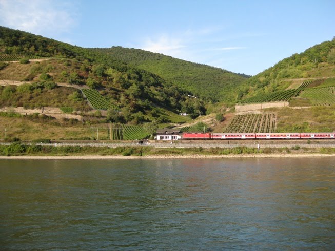 [22+-+Train+Rhine.jpg]