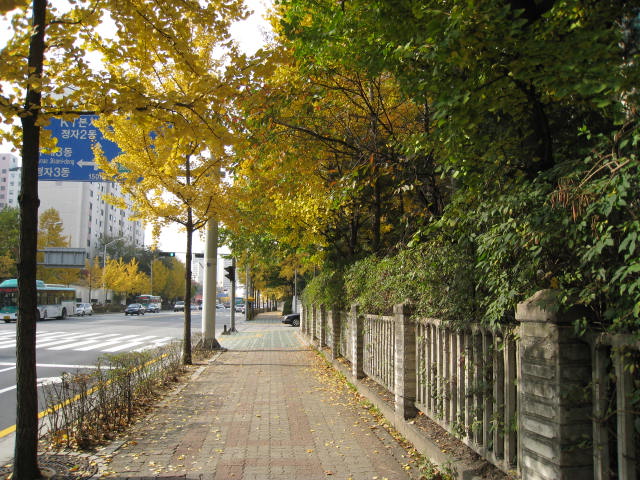 [Nov082008_9326.JPG]