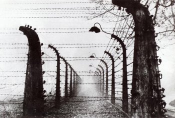 [Cerca+eletrificada+em+Auschwitz.jpg]