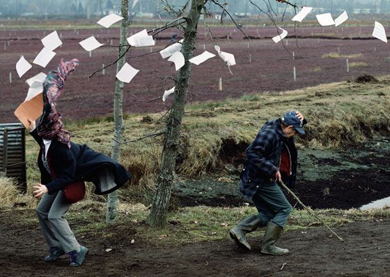 art sparks art: A Sudden Gust of Wind art sparks art: A Sudden Gust of Wind