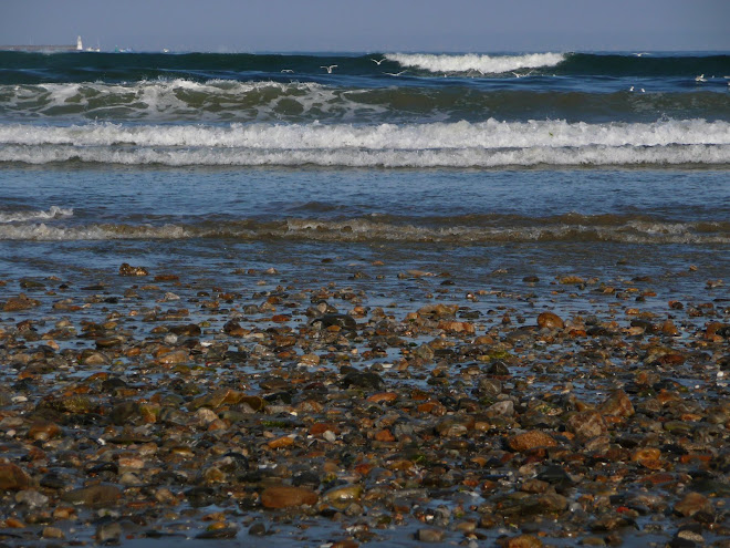 LA PLAGE