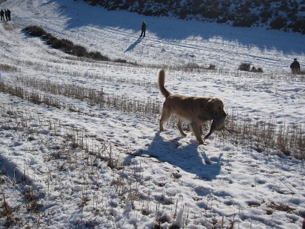 clown en field