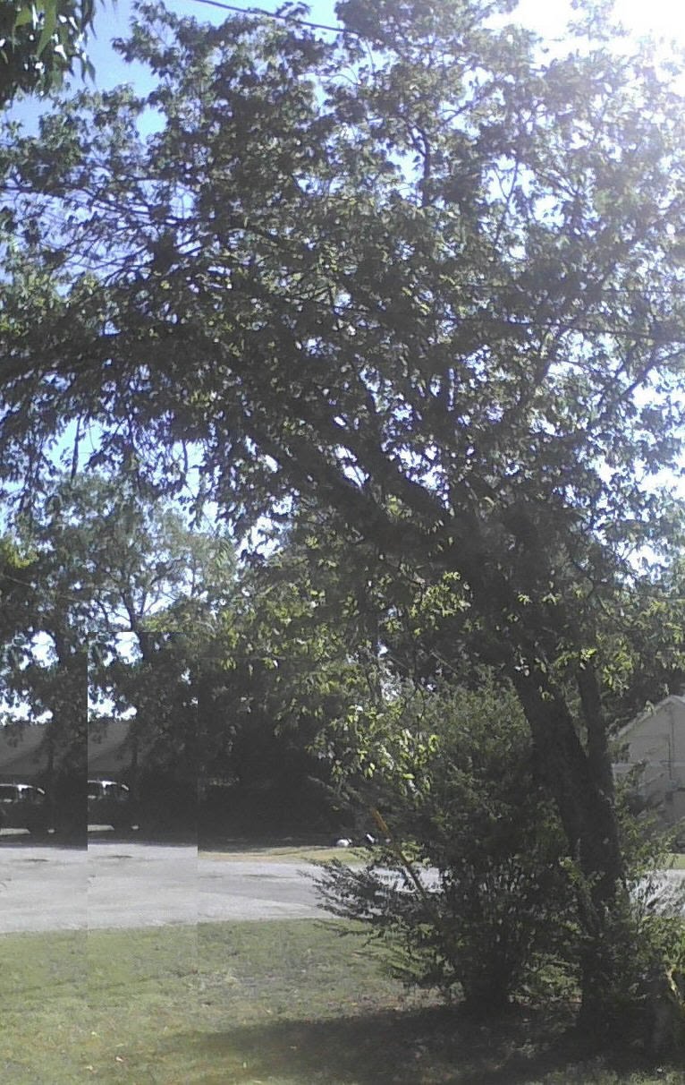 Better And Better August 2010