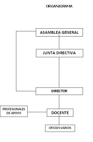 ORGANIGRAMA