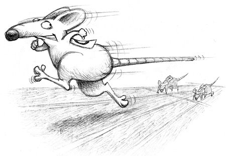 [ratrace.bmp]