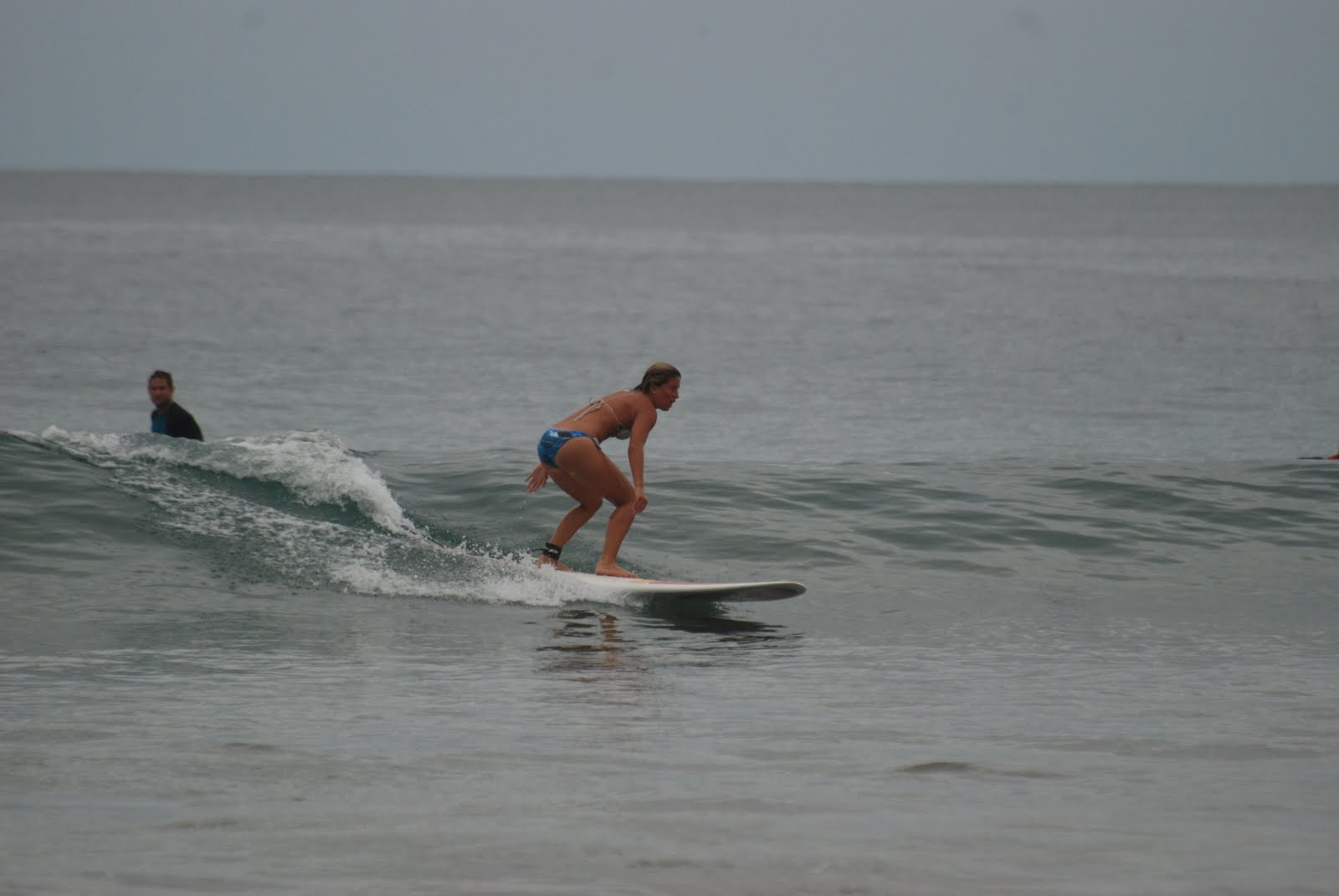 [DSC_7231.JPG]