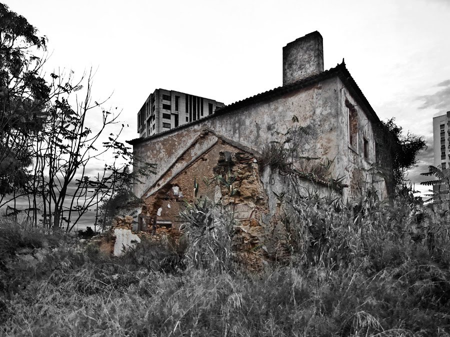 [Ruin'Art-529.jpg]