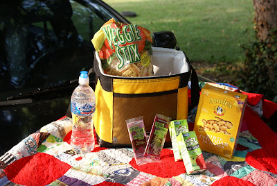  Car Picnic