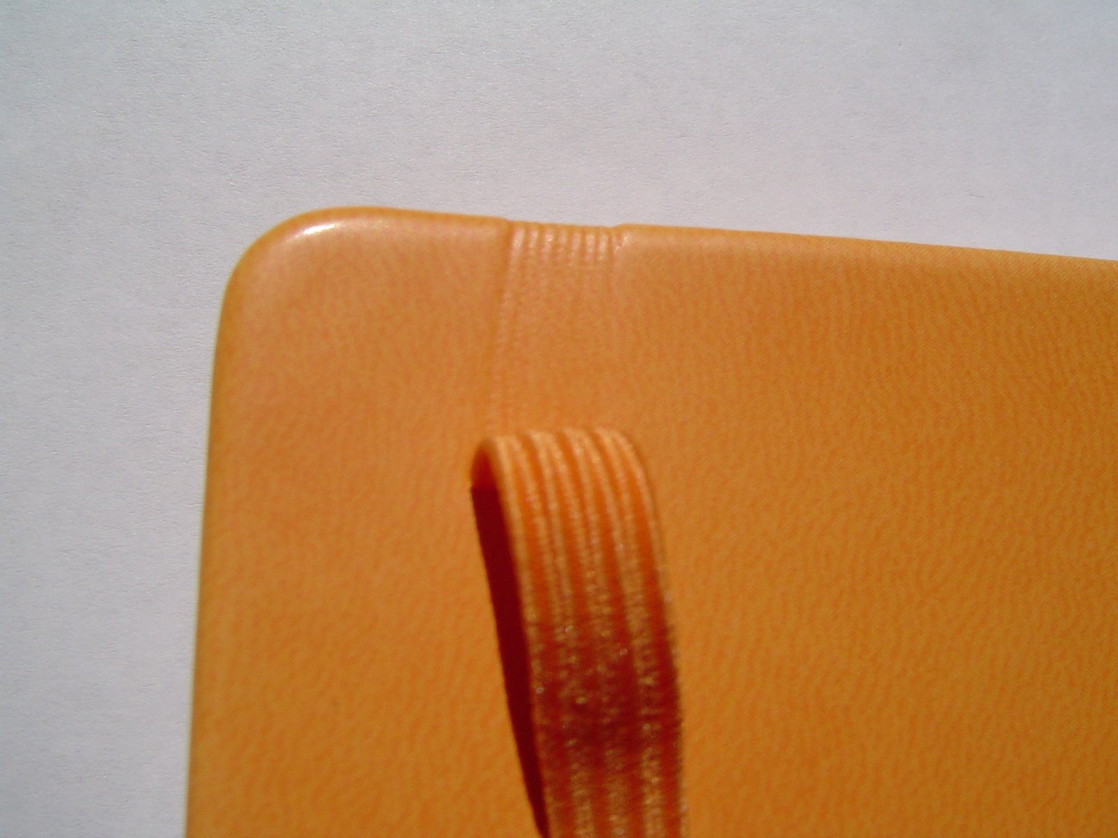 [elastic+marks+back.JPG]