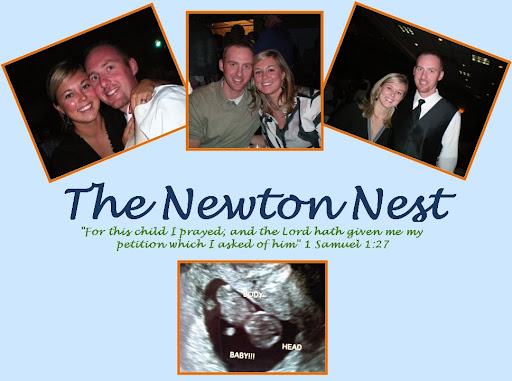 The Newton Nest
