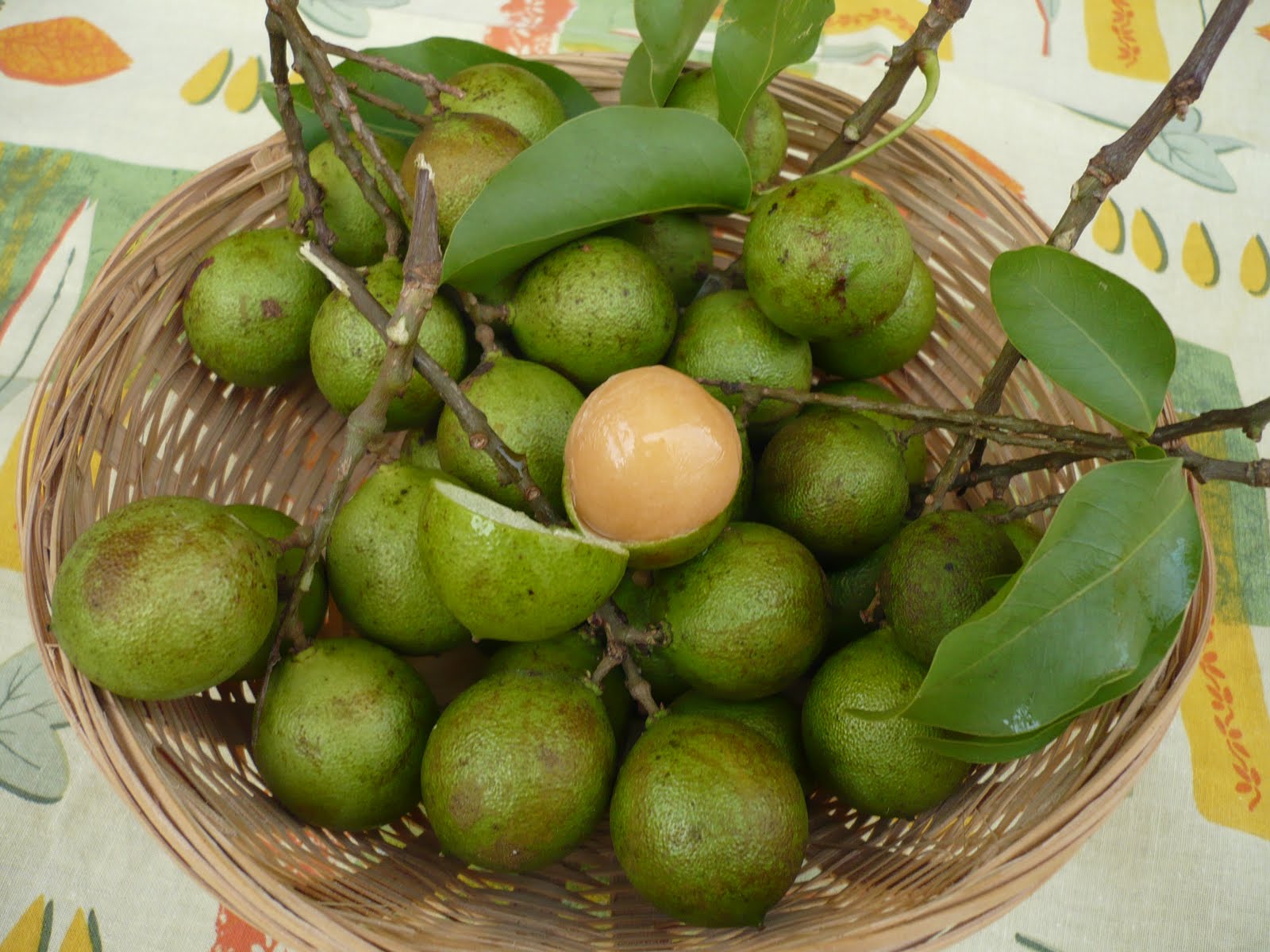 mamon fruta dominicana - HD 1600 × 1200.