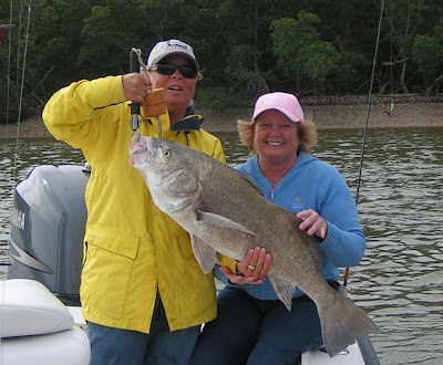 black drum