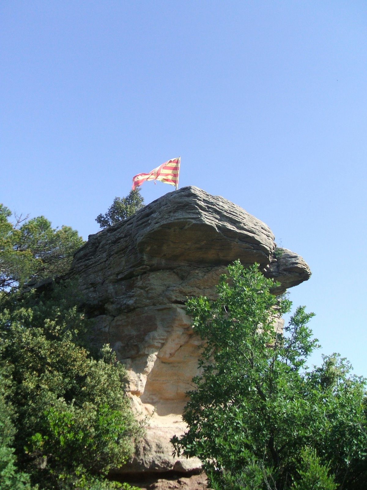 [DSCF0259.JPG]