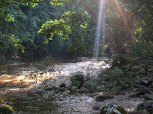 rivière magique de Cumbaza