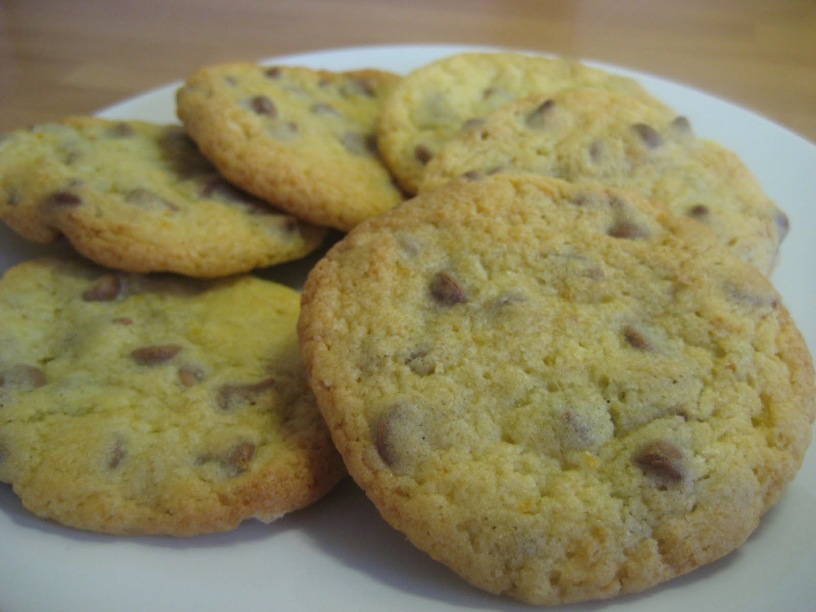 [october_2009_003.JPG]