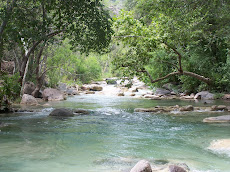 Fossil Creek Arizona