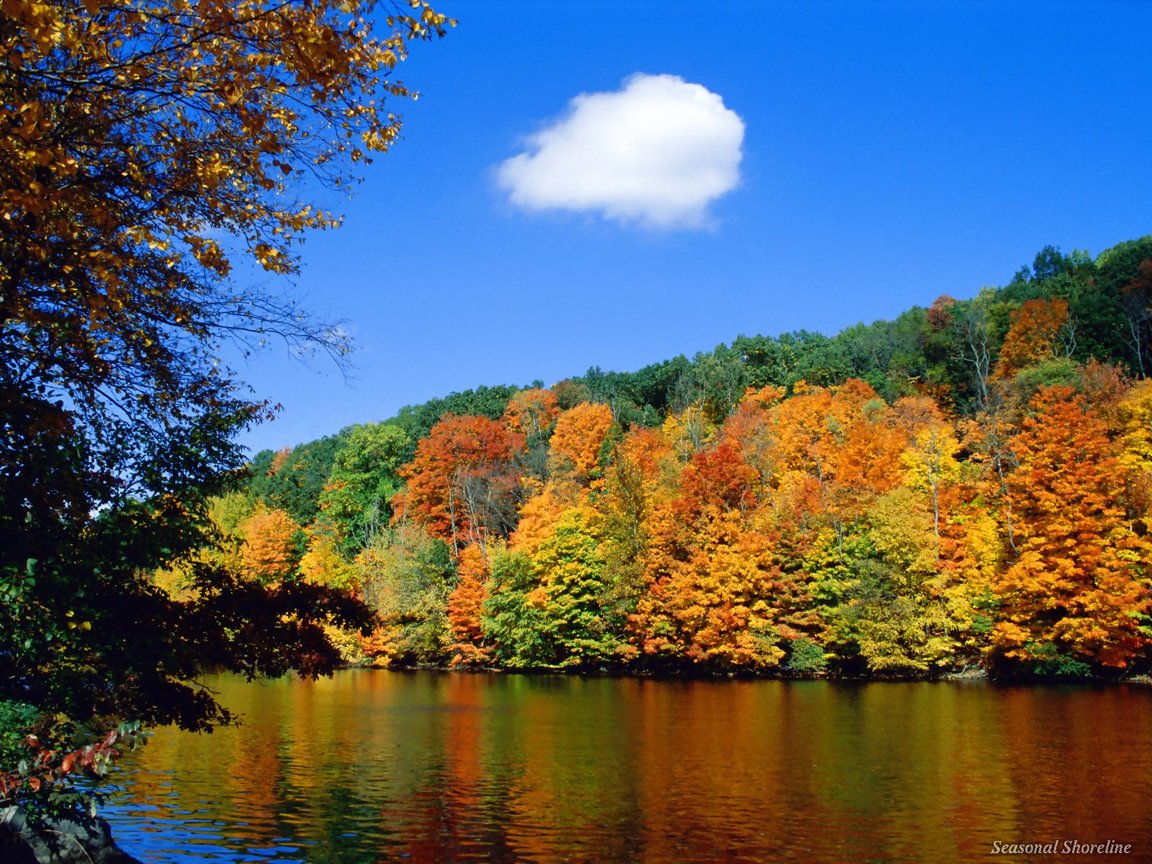 http://2.bp.blogspot.com/_oDkst3wSalw/S69mF2FVIzI/AAAAAAAABrU/ylUe4SO8abM/s1600/17496.jpg