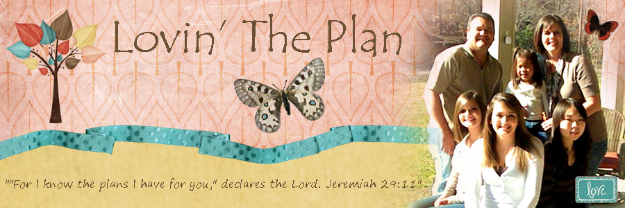 Lovin' The Plan