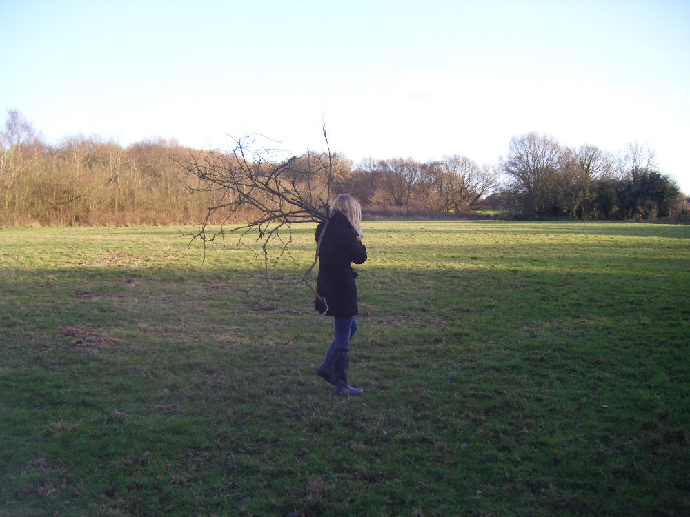 [tree2.JPG]