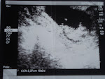 primeira fotografia