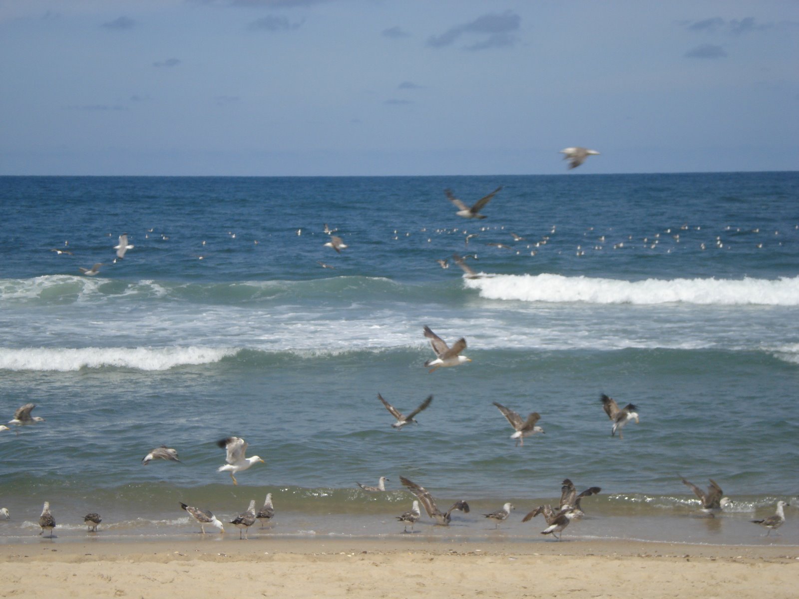 [DSC04551.JPG]
