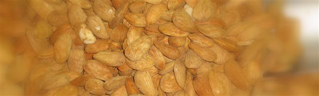 [DSC06983-1+(Small).JPG]