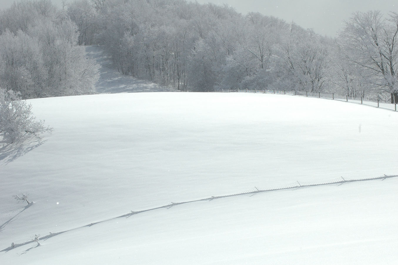 [snow+pasture+011010.jpg]