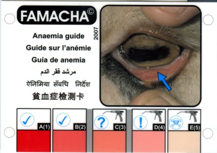 Famacha Eye Color Chart