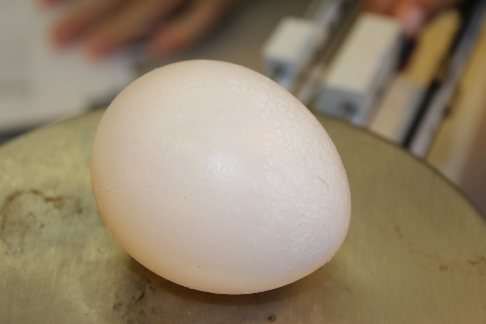 The Science Experience Osmosis Egg Lab Part 1