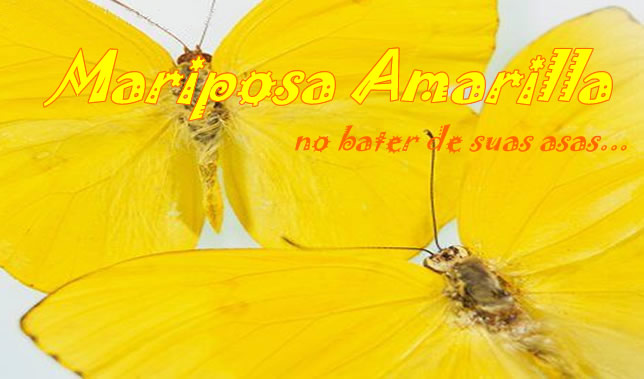 ீੴ Mariposa Amarilla ீੴ