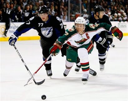 Koivu Wild